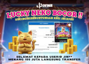 Lucky Nero: Kucing Keberuntung Untuk Para Member