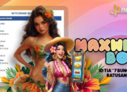 Maxwin Bos! ID Tia**7 Bungkus Ratusan Juta