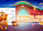 Modal Parkiran Bisa WD Direktur BUMN!