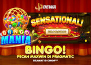 BINGO! Pecah Maxwin Di Pragmatic